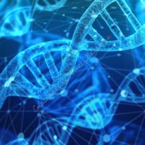 Świat DNA - zestawy do analiz