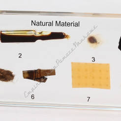 Materiały naturalne - 8 okazów w akrylu