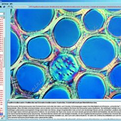 Komórka roślinna - CD-ROM ze zdjęciami preparatów mikroskopowych