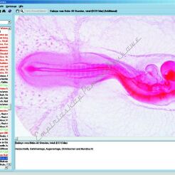 Embriologia i rozwój zwierząt - CD-ROM ze zdjęciami preparatów mikroskopowych