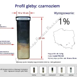 Profile glebowe – czarnoziem