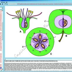 Biologia kwiatów i owoców - CD-ROM ze zdjęciami preparatów mikroskopowych