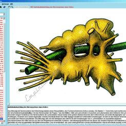 Układ nerwowy i przekazywanie informacji. Część I - CD-ROM ze zdjęciami preparatów mikroskopowych