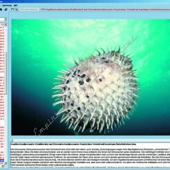 CD-Rom.  Życie w wodzie - CD-ROM ze zdjęciami preparatów mikroskopowych