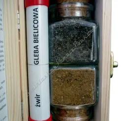 Próbki gleb polskich – gleba bielicowa
