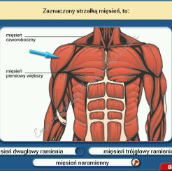 Program multimedialny CD "Nauka o człowieku" - Biologia 1