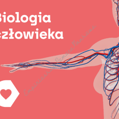 Aplikacja Corinth - Biologia Człowieka