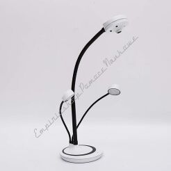 Wizualizer myBoard S6