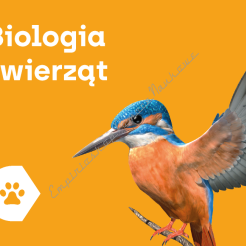  Aplikacja Corinth - Biologia Zwierząt