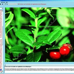 Rośliny lecznicze i trujące - CD-ROM ze zdjęciami preparatów mikroskopowych