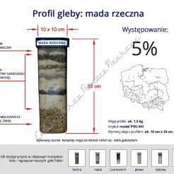 Profile glebowe – mady rzeczne