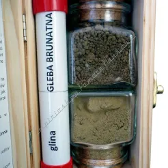 Próbki gleb polskich – gleba brunatna