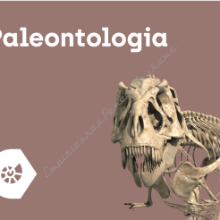 Aplikacja Corinth - Paleontologia i Kultura