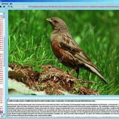 CD-ROM. Biotopy i ekosystemy - CD-ROM ze zdjęciami preparatów mikroskopowych