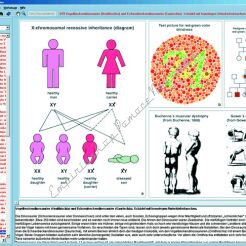 CD-ROM. Dziedziczenie i genetyka człowieka. Część I - CD-ROM ze zdjęciami preparatów mikroskopowych
