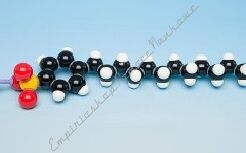 Cząsteczka detergentu (model)