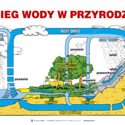 Przyroda część II