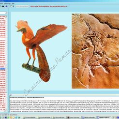CD-ROM. Ewolucja na przykładach - CD-ROM ze zdjęciami preparatów mikroskopowych