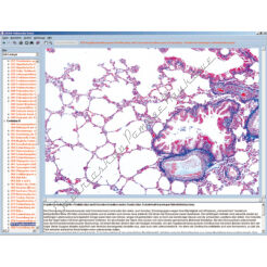 Biologia B - CD-ROM ze zdjęciami preparatów mikroskopowych