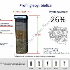 Profile glebowe – bielica, model
