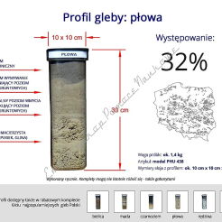 Profile glebowe – gleba płowa