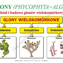 Przyroda część I